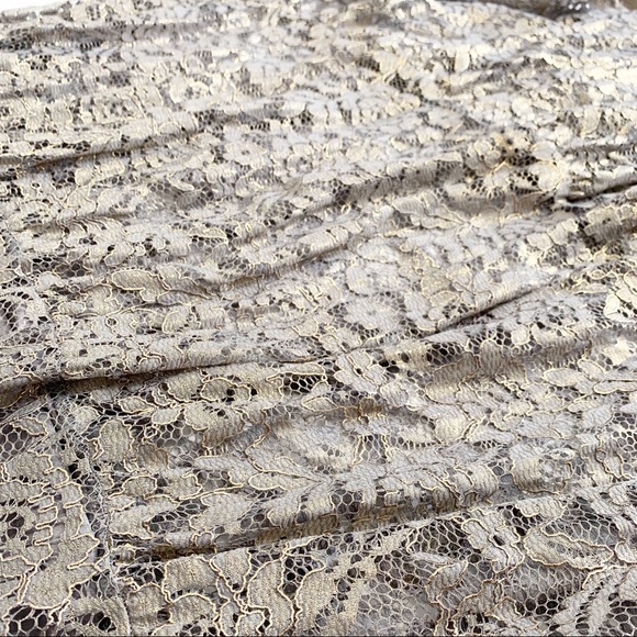 Dress the Population Antoinette Lace Maxi - Picture 6 of 7